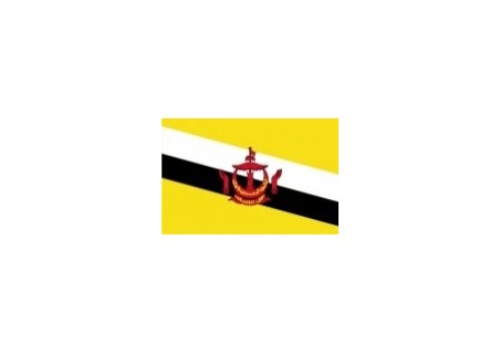 vlaječka Brunej