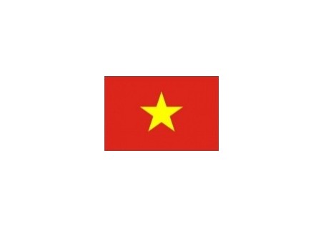 vlaječka VIETNAM