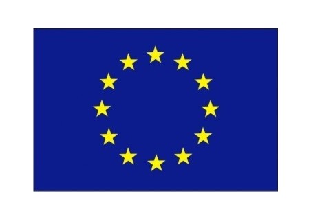 Vlajka EU tištěná